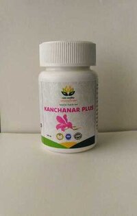 Kanchnar Plus