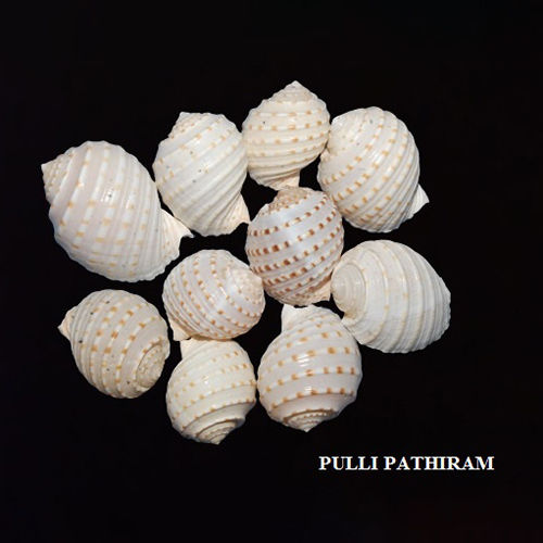 White Pulli Pathiram Seashells