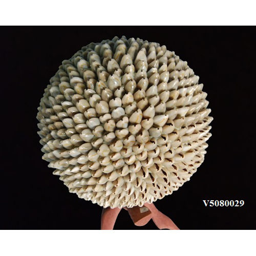 V5080029 Seashell Balls