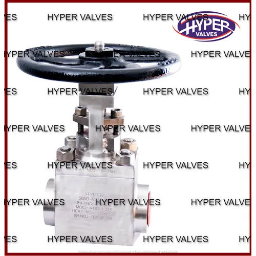 Silver High Pressure Gate Valve