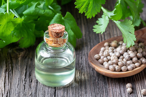 Coriander essentiol oil