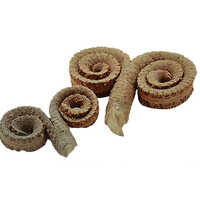 Brown Ammonite Wall Piece