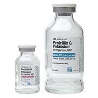 Penicillin G Procaine Injection