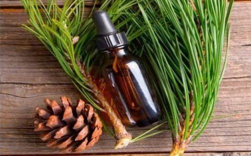 pine oil 32% and  22%