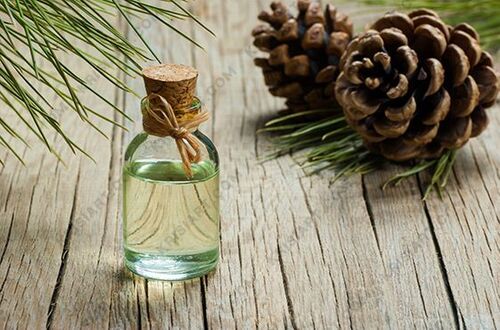 Turpentine oil