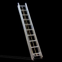 Wall Extension Ladder