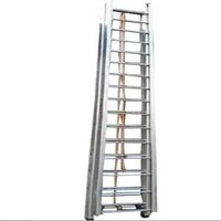 Wall Extension Ladder