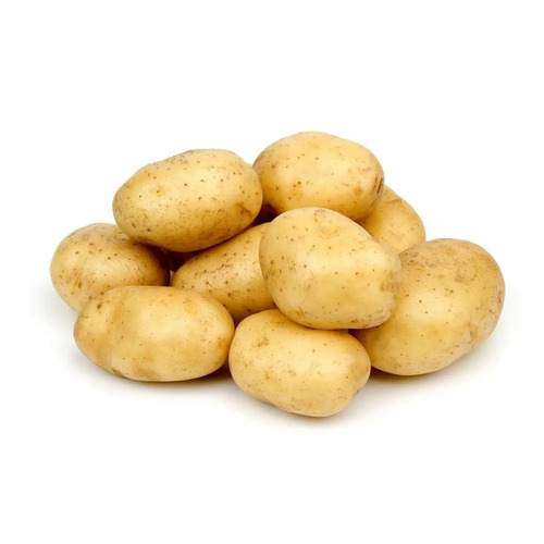 Locker Potatoes Shelf Life 3 Months at Best Price in Ahmedabad