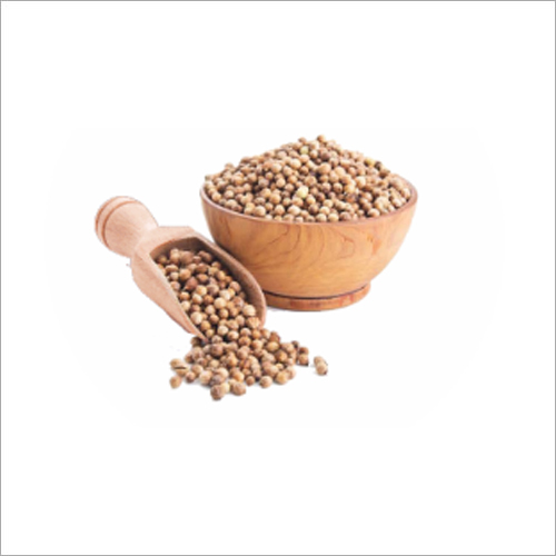 Watermelon Coriander Seed at Best Price in Ahmedabad, Gujarat Vincer