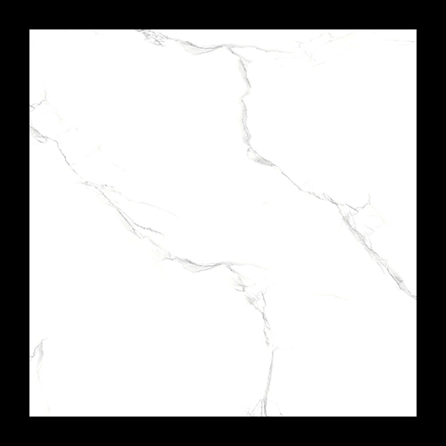 2179-P2 600x600 Glossy Tiles