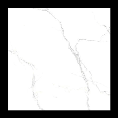 2179-P3 600x600 Glossy Tiles