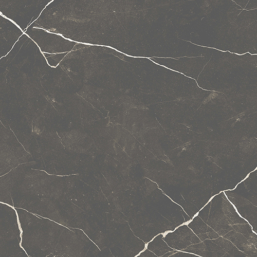 2215-P4 600x600 Glossy Tiles