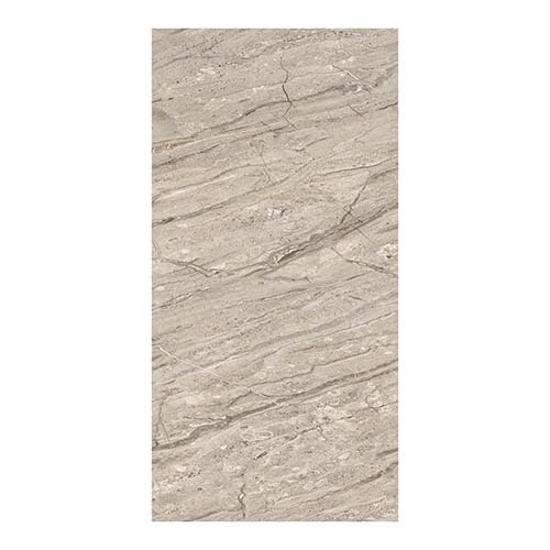 600x1200 Armano Gris Carpet Glossy Tiles