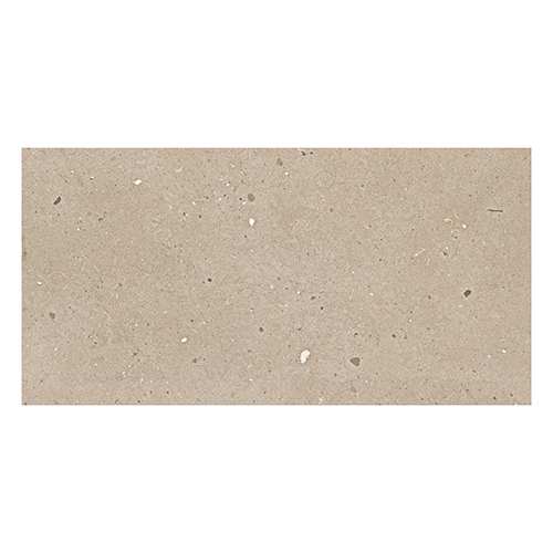 600x1200 Avalon Brown P1 Matt Tiles