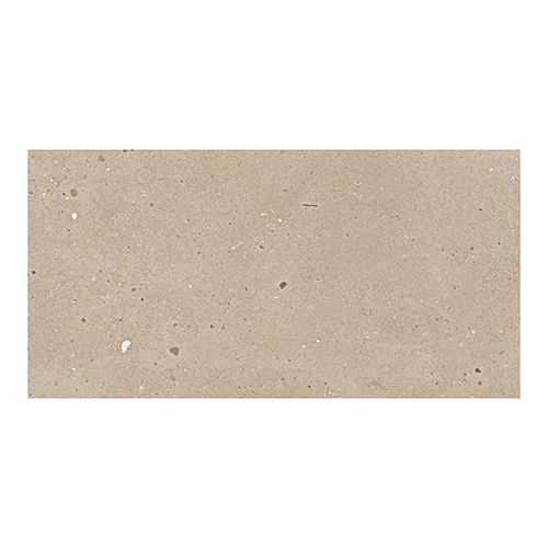 600x1200 Avalon Brown P2 Matt Tiles