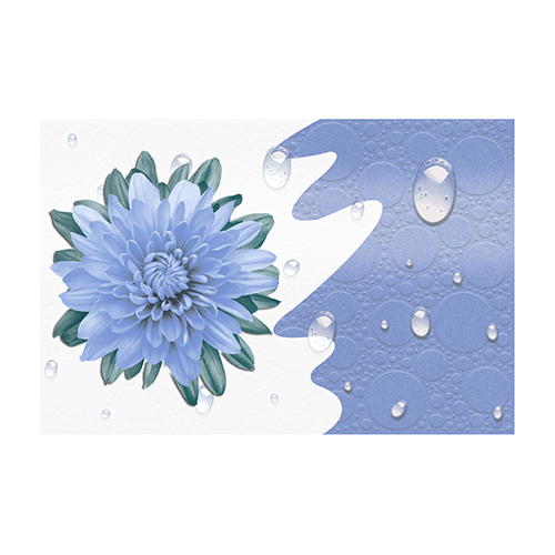 15503-HL1 Punch 300x450mm Glossy Finish Digital Wall Tiles
