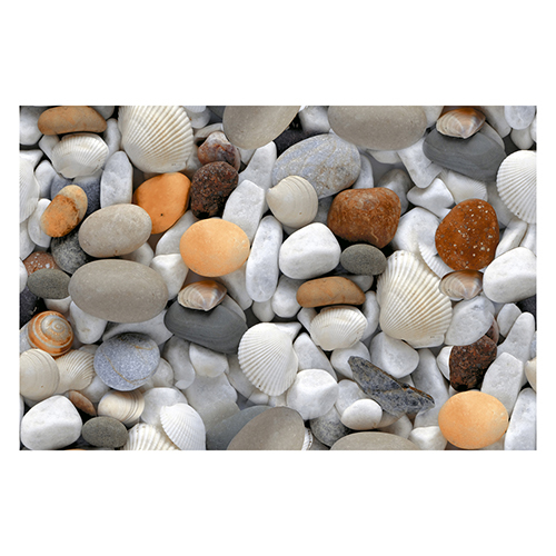 15628-D Plain 300x450mm Glossy Finish Digital Wall Tiles