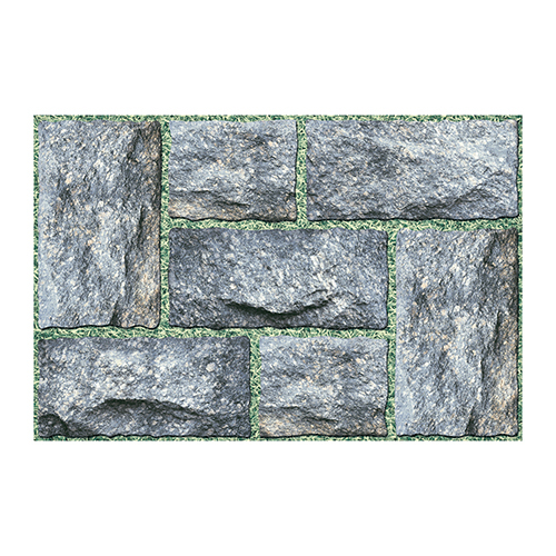17098 Punch 300x450mm Elevation Series Matt Finish Digital Wall Tiles