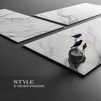 POLISHED GLAZED VITRIFIED TILES