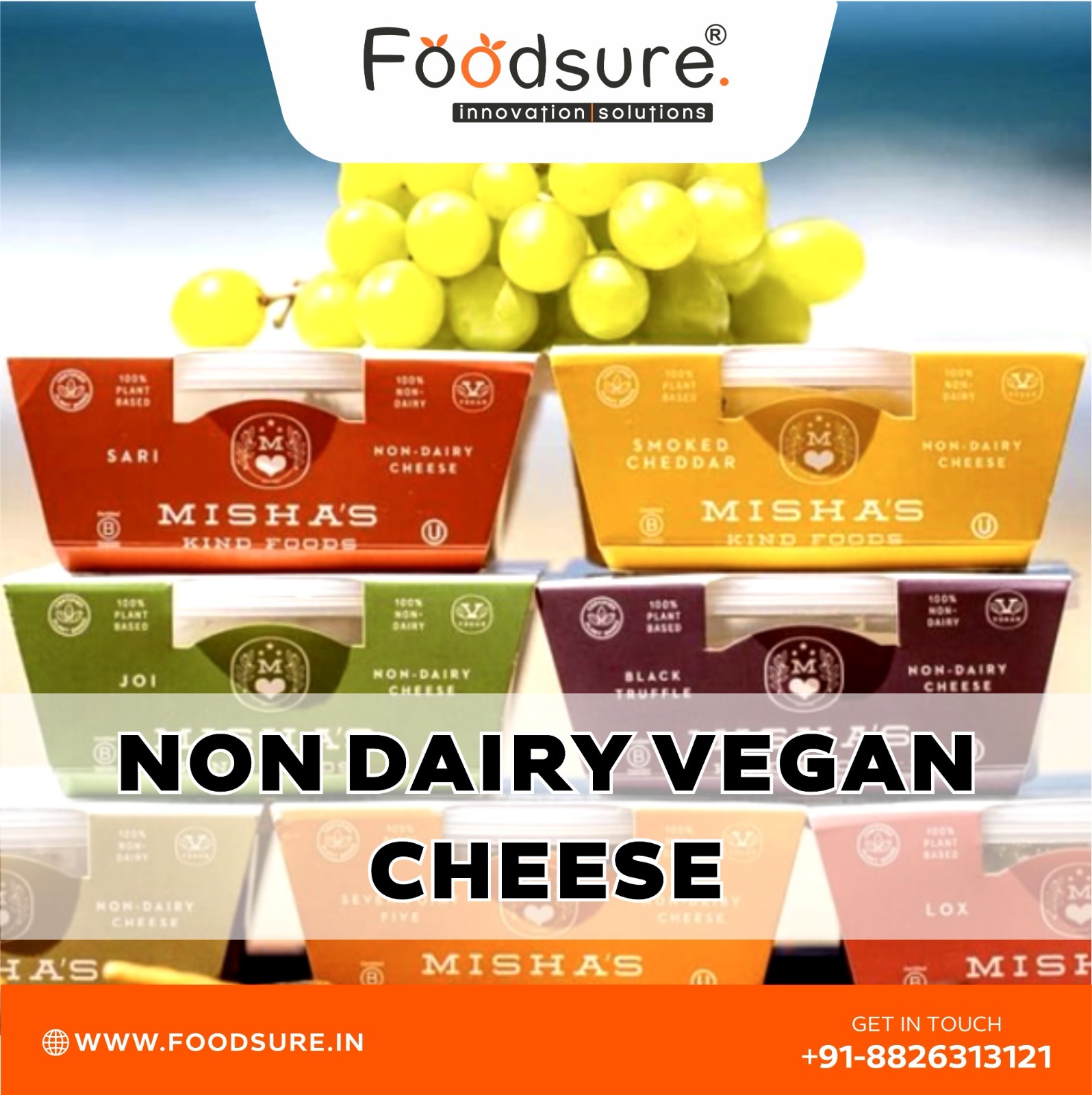 Non Dairy Cheese Processing Plant