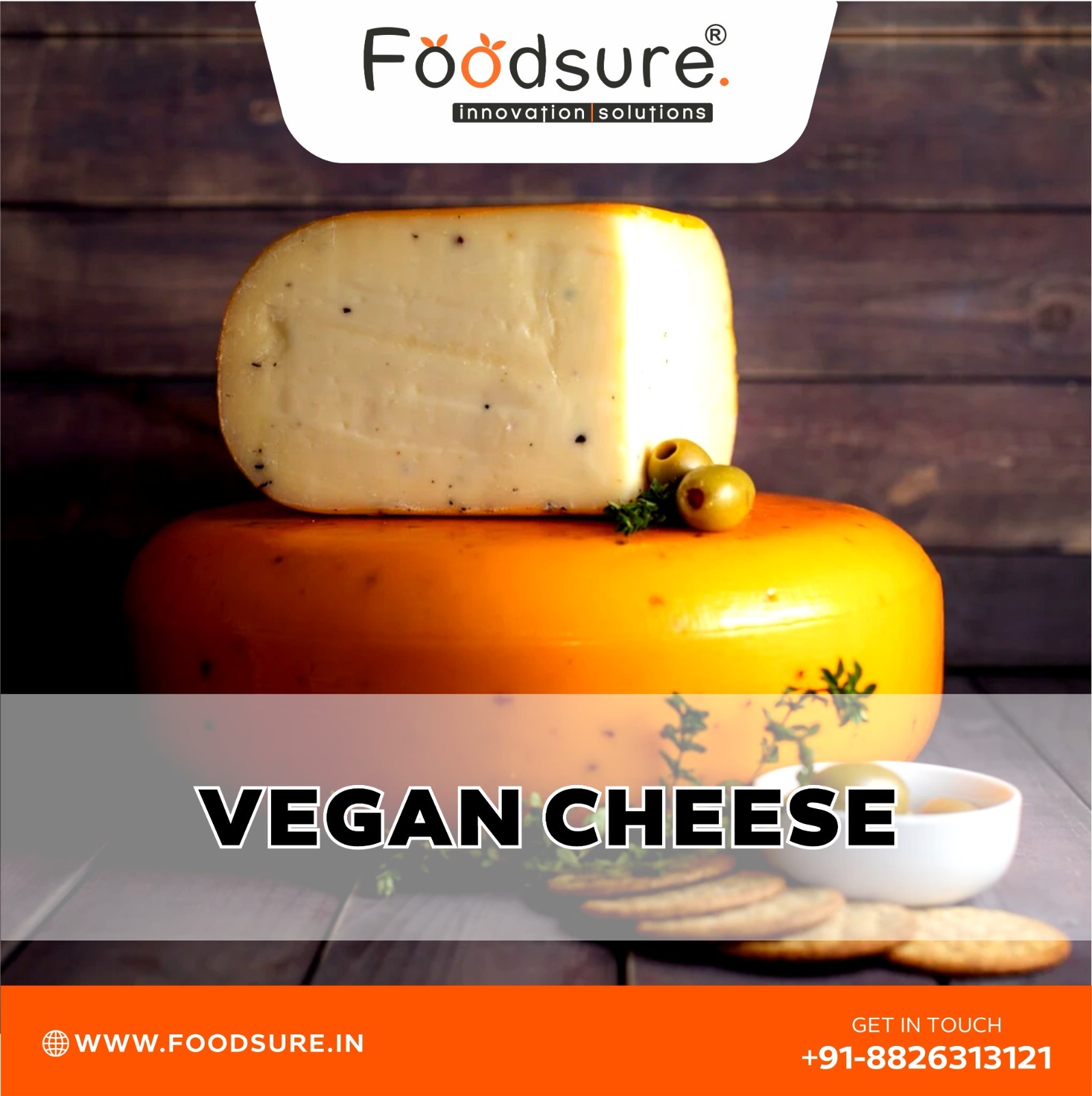 Non Dairy Cheese Processing Plant