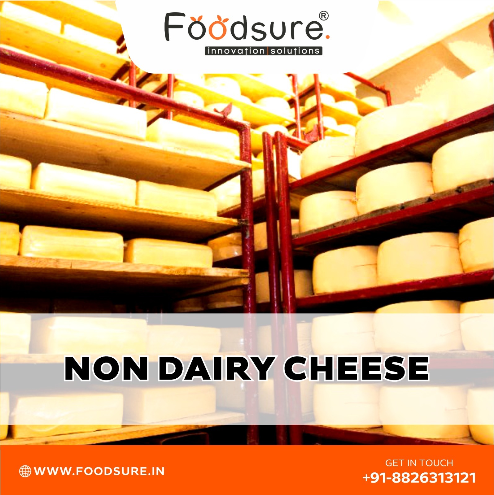 Non Dairy Cheese Processing Plant
