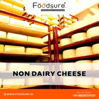 Non Dairy Cheese Processing Plant