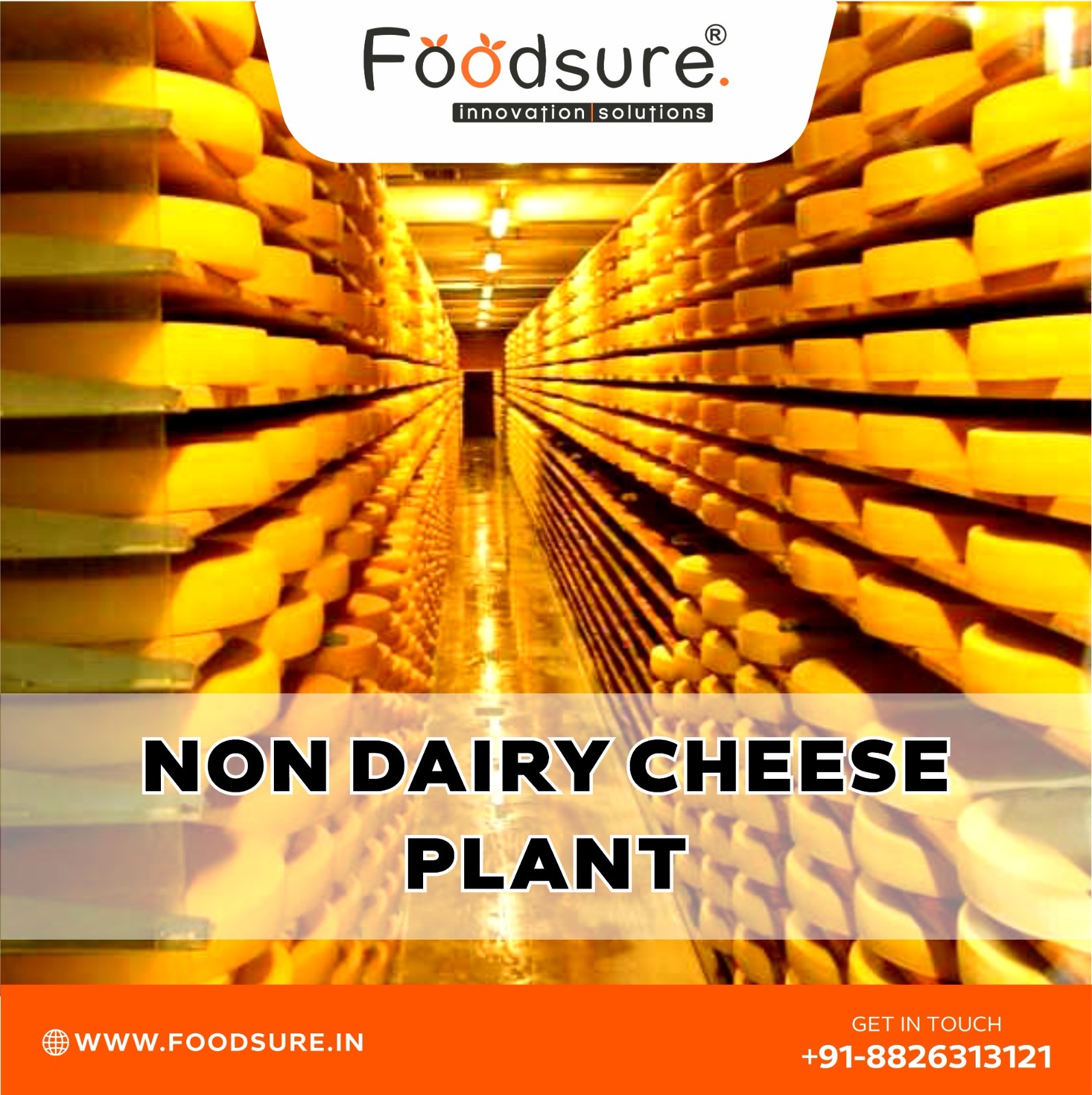 Non Dairy Cheese Processing Plant