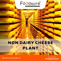 Non Dairy Cheese Processing Plant