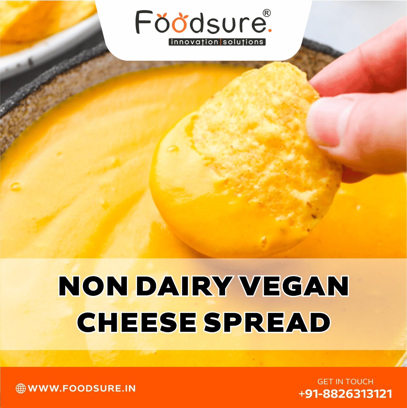 Non Dairy Cheese Processing Plant