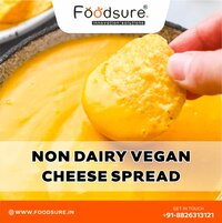 Non Dairy Cheese Processing Plant