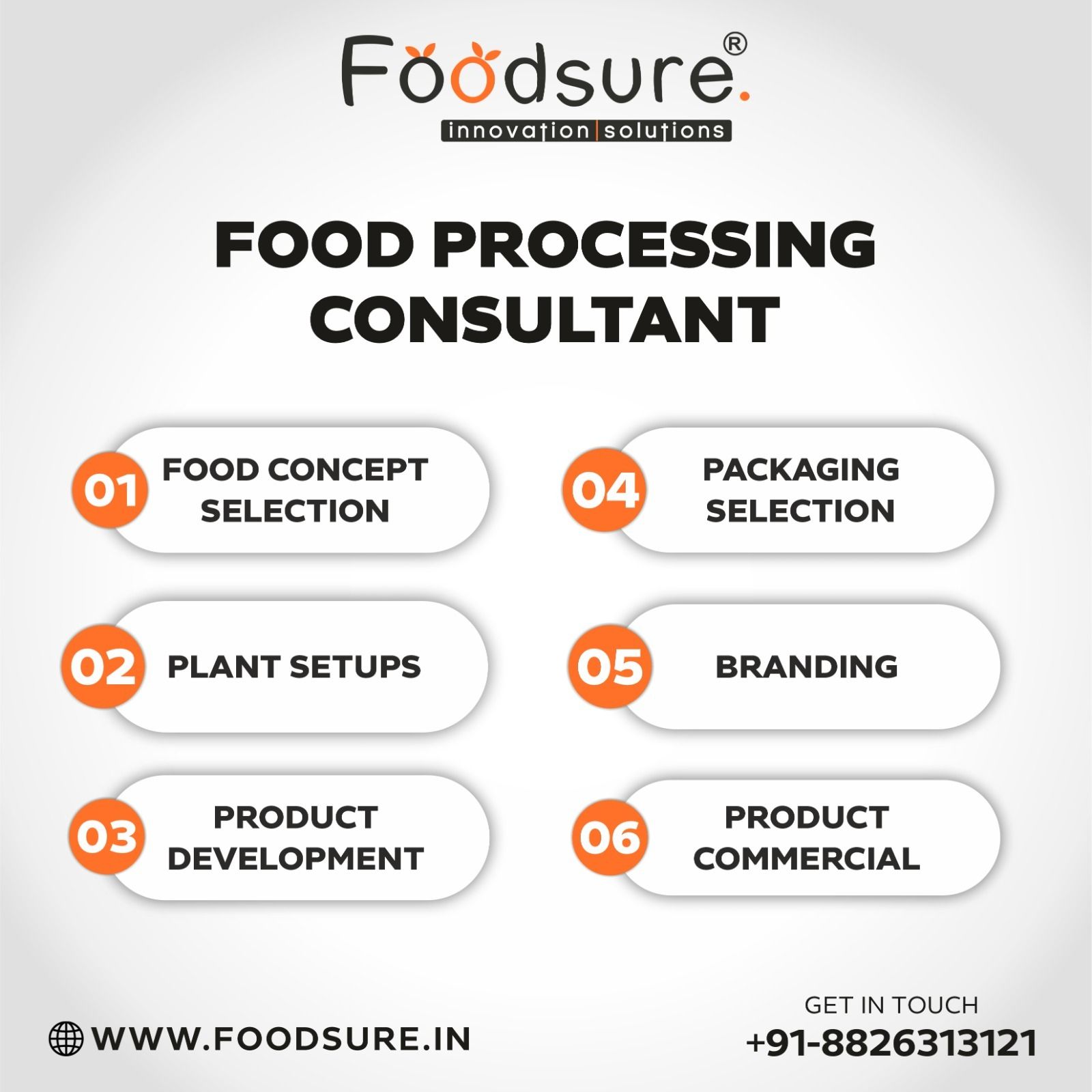 Food Industry Consultant