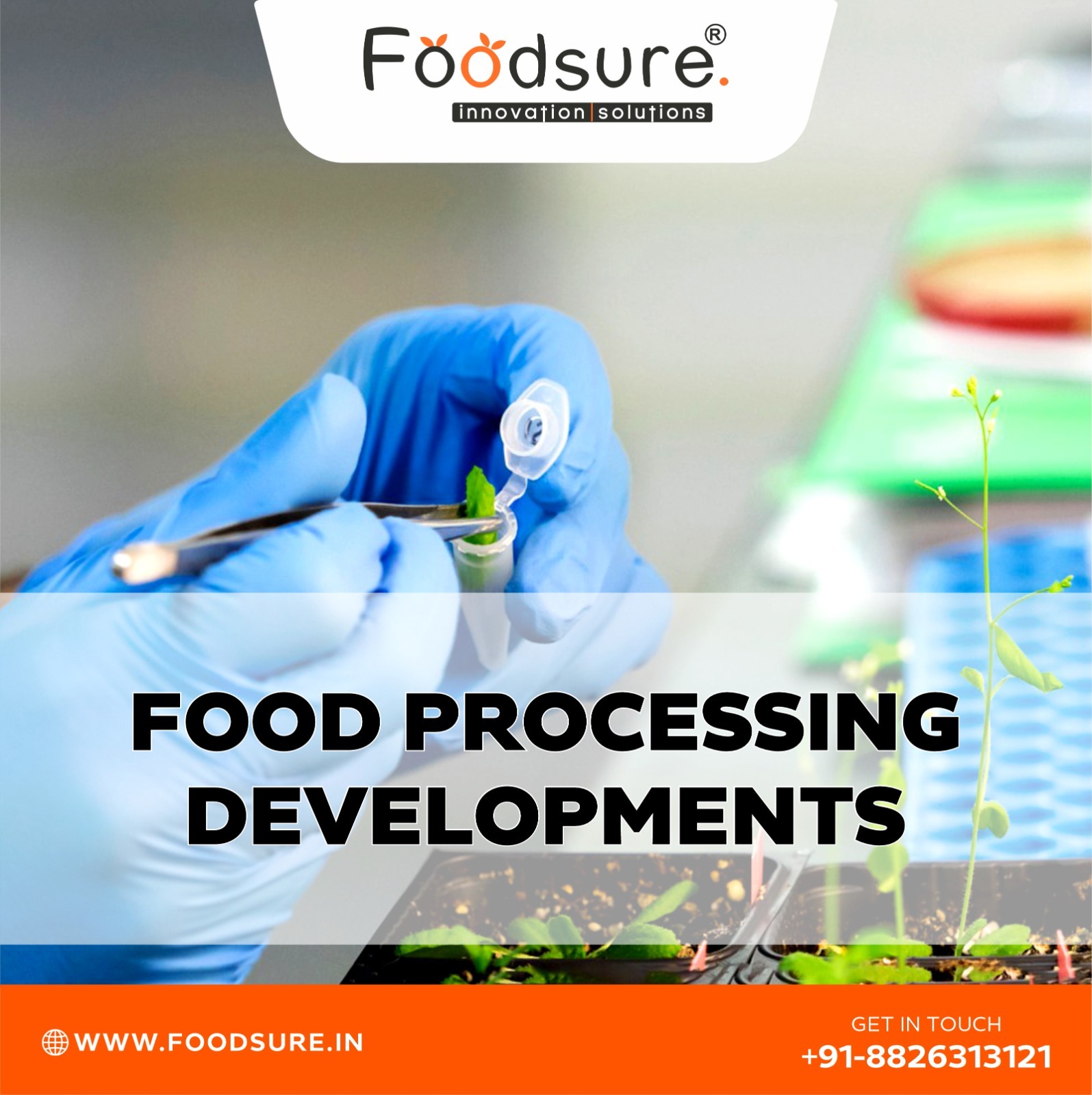 Food Industry Consultant