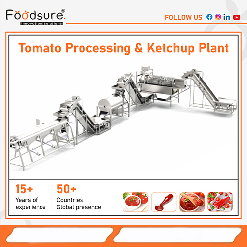 Tomato Processing and Ketchup Plant