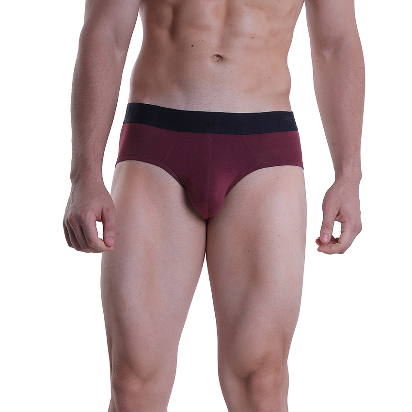 Maroon Plain Brief Underwear