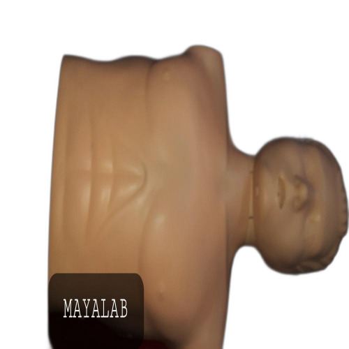 CPR HALF BODY MNIKIN