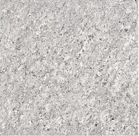 Double Charged Tiles - Polished Ceramic Gloss Finish | Interior Floor Tiles