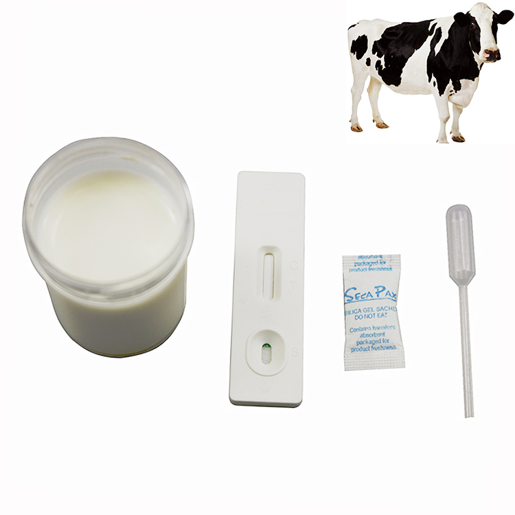 Fast Accurate  Cow Pregnancy Test Kit  Early Pregnancy for cow
