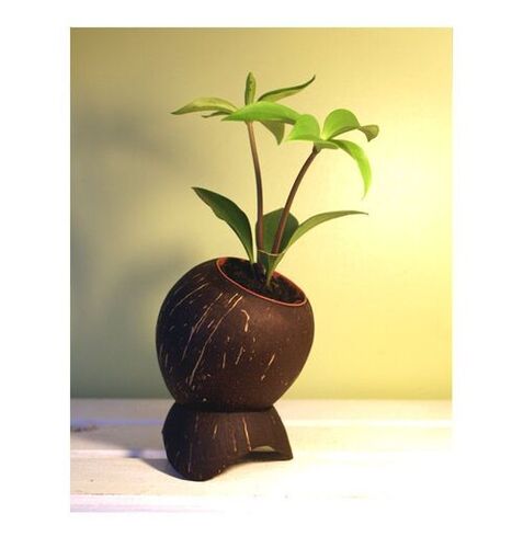 Wooden Flower Pots