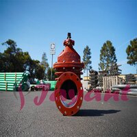 Wedge Gate Valves Pressure: High Pressure