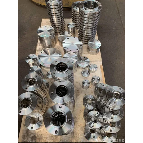 Stainless Steel 316 316L Flanges