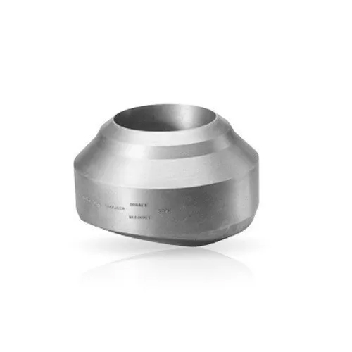 Stainless Steel Weldolet