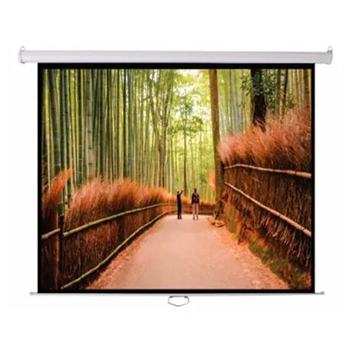 Manual Projection Screen