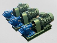 Rotary Gear Pump