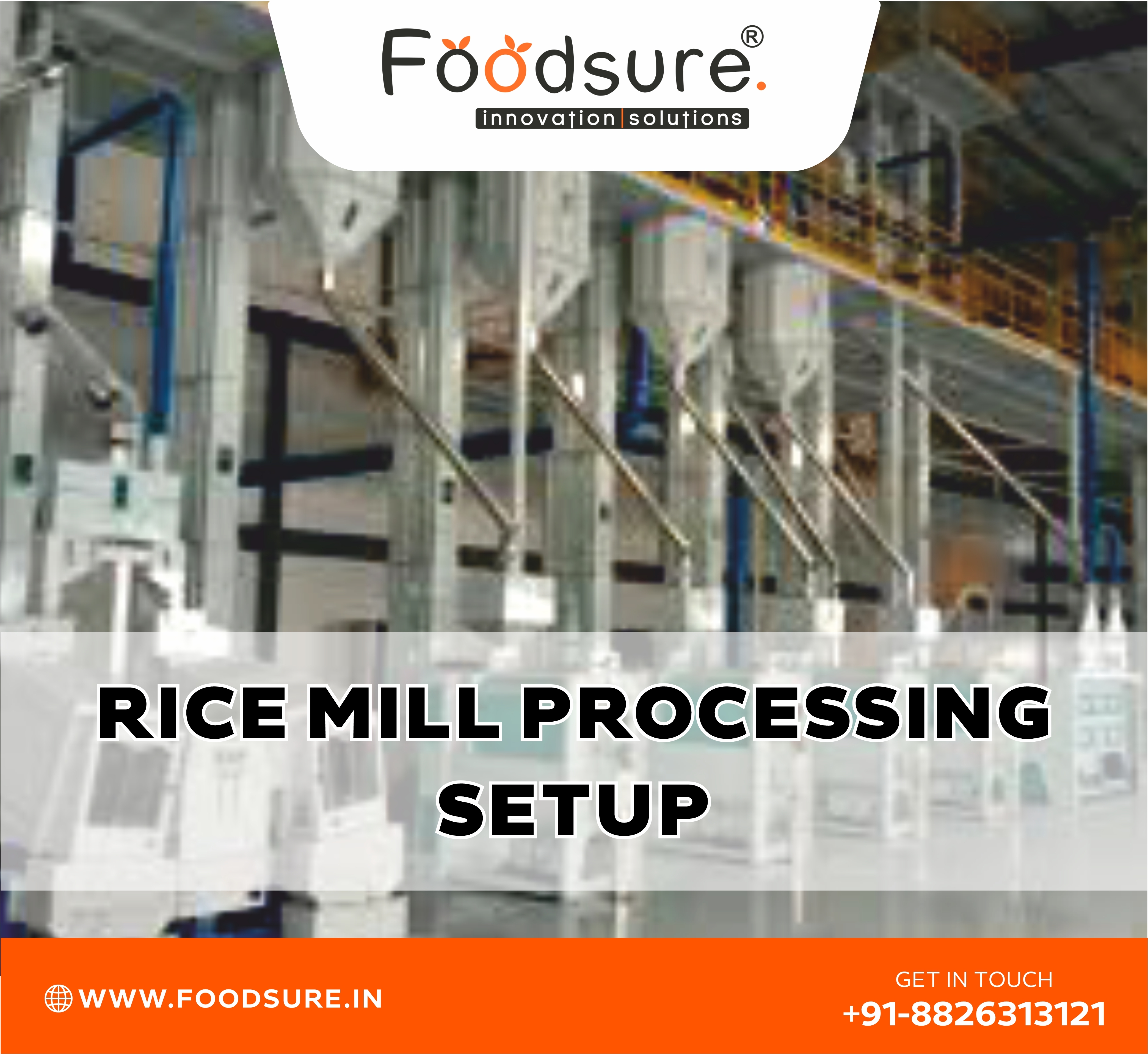 rice mill plant setup consultant