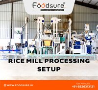 rice mill plant setup consultant