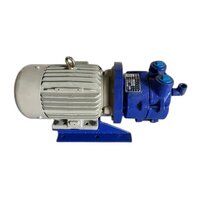 Monoblock Watering Vacuum Pump