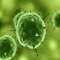 Dry Film Preservative Biocides - 98% Purity Liquid, Industrial Grade Biocides For Microbial Protection, Ph 6.00-9.00 At 5%