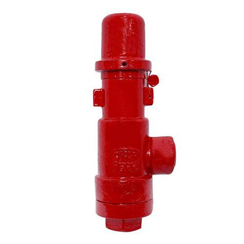Cast Iron Safety Relief Valve, Screwed, for Ammonia Vessels
