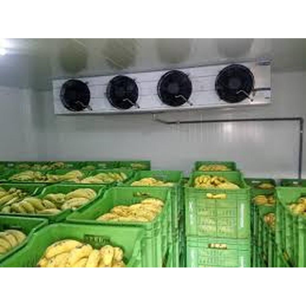 Freon Based Ripening Chambers - Puff Insulation, 12 To 25 Deg C, Green | Energy Efficient, Fully Automatic With Enhanced Humidity Control, Micro-processor Based System, Ethylene Generator